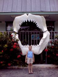 "Look at those teeth" while on a diving trip to the Fla K... by Steven Anderson 